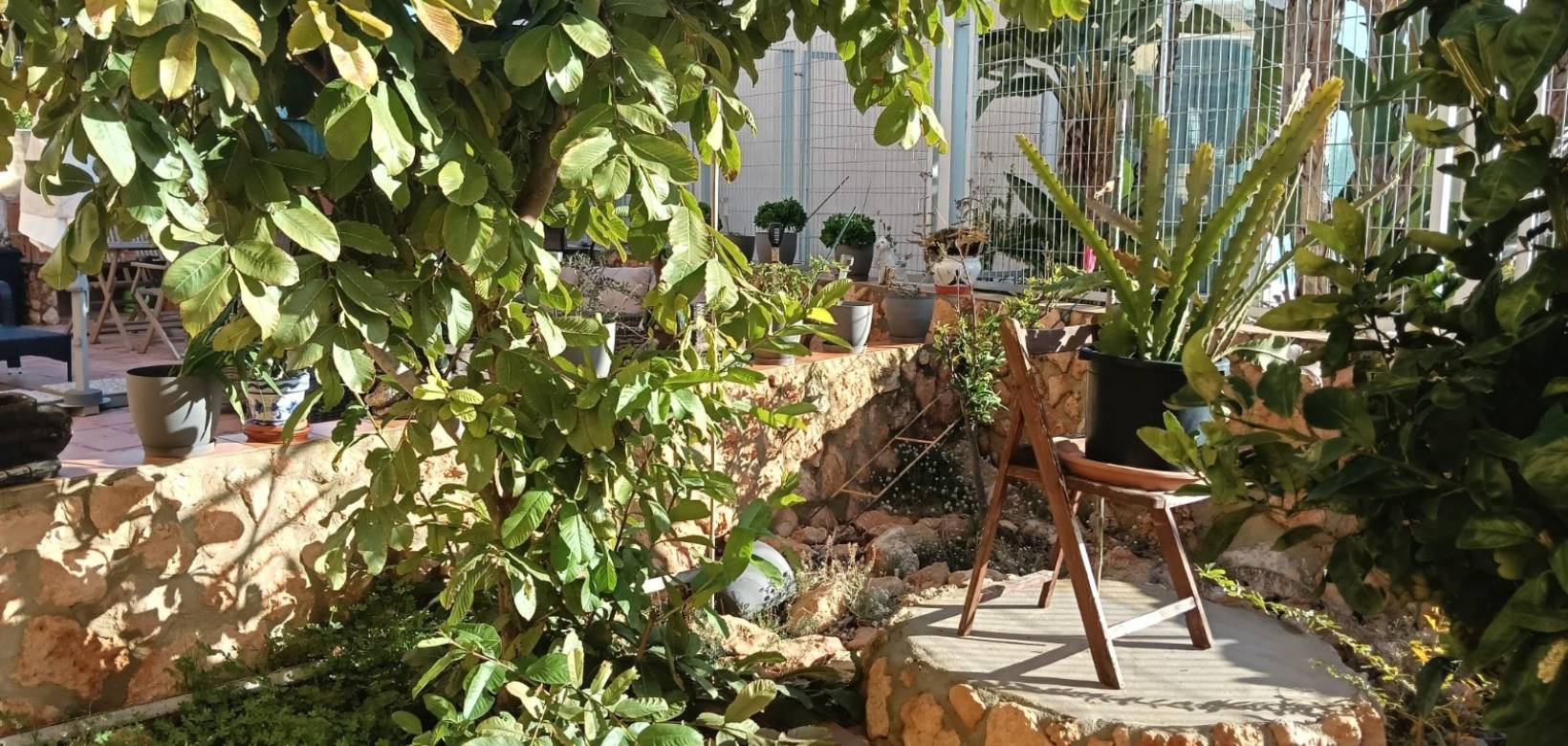 Revente - Appartement - Los Montesinos - La Herrada