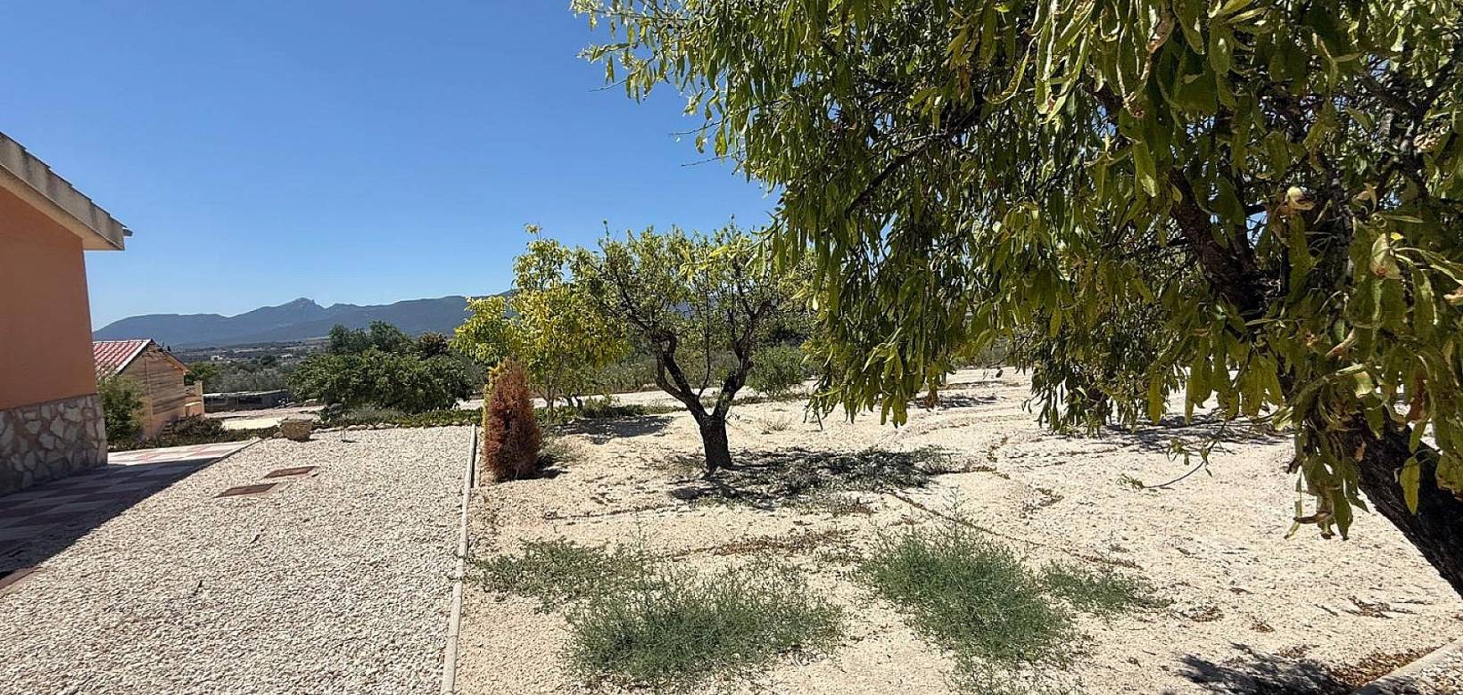 Revente - Country house - Castalla