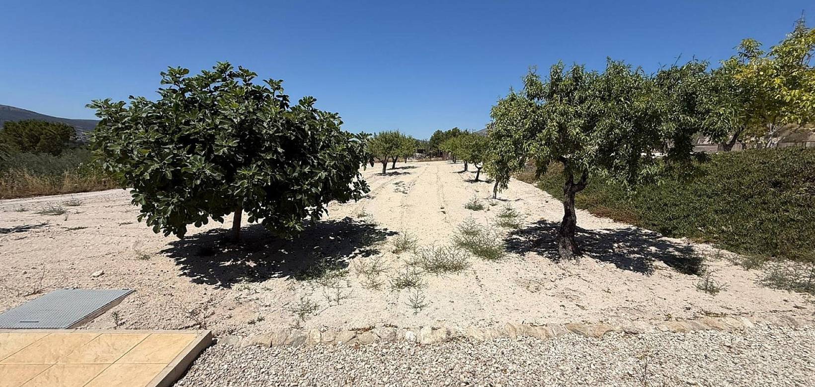 Revente - Country house - Castalla