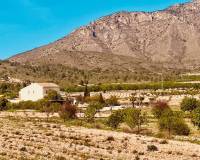 Revente - Country house - El Cantón