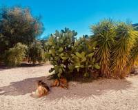 Revente - Country house - El Cantón