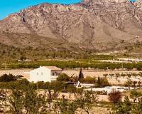 Revente - Country house - El Cantón