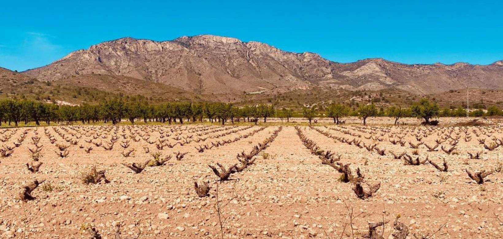 Revente - Country house - El Cantón