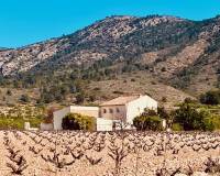 Revente - Country house - El Cantón