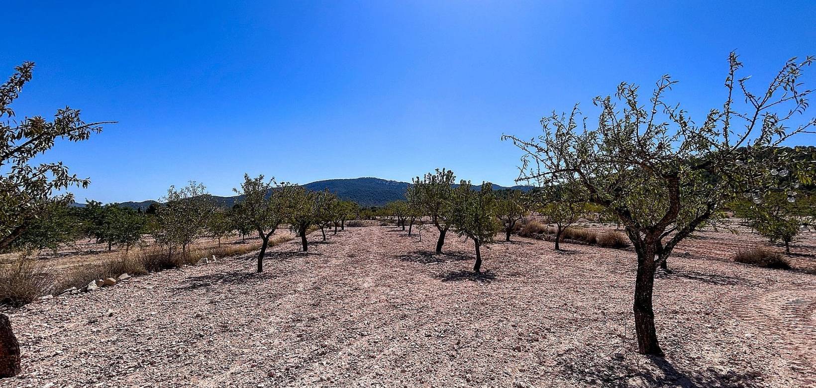 Revente - Country house - Monovar