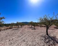 Revente - Country house - Monovar