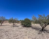 Revente - Country house - Monovar