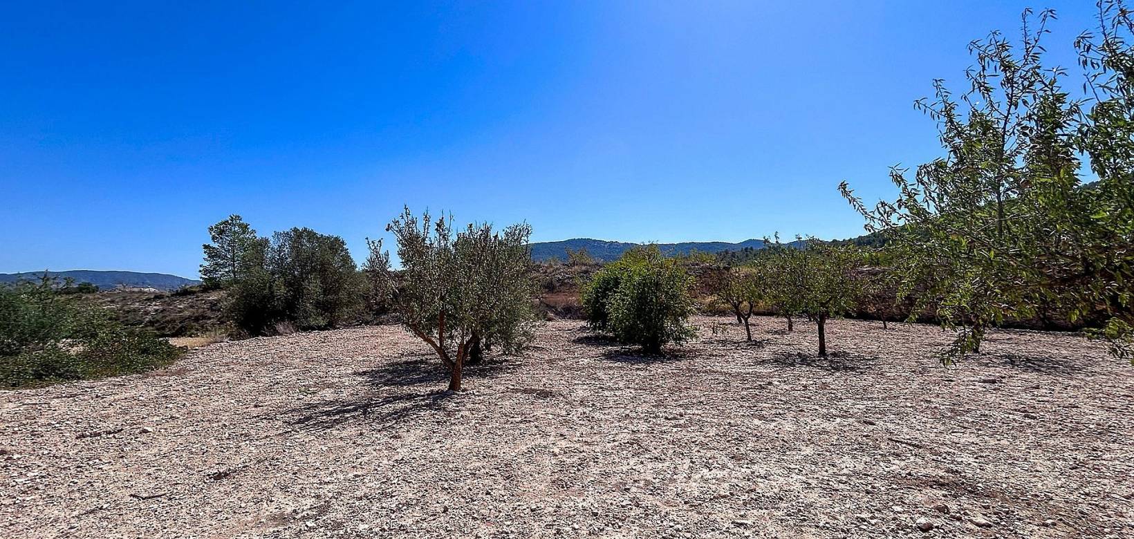 Revente - Country house - Monovar