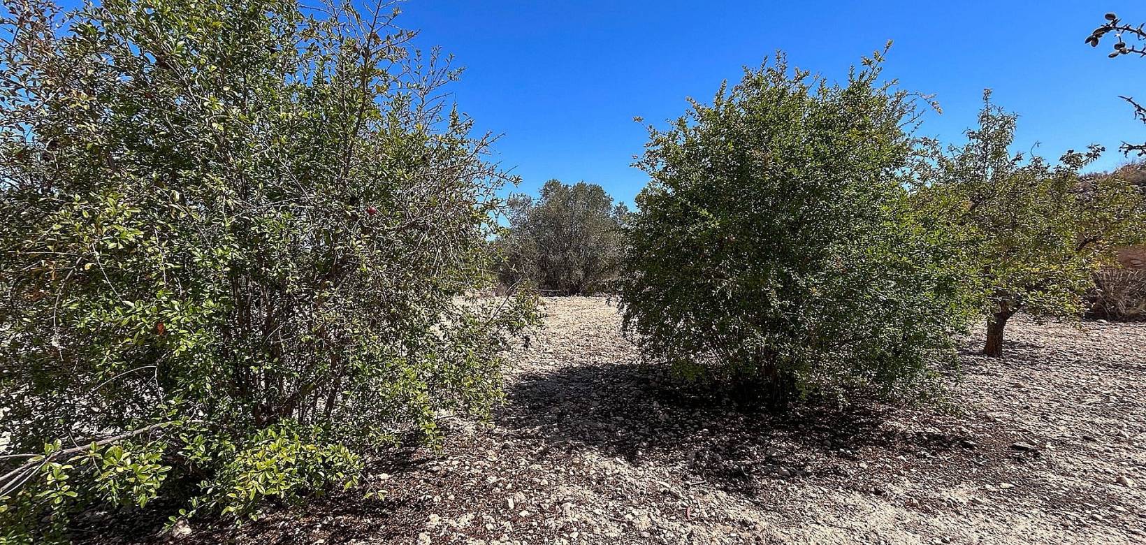 Revente - Country house - Monovar