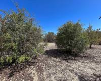 Revente - Country house - Monovar