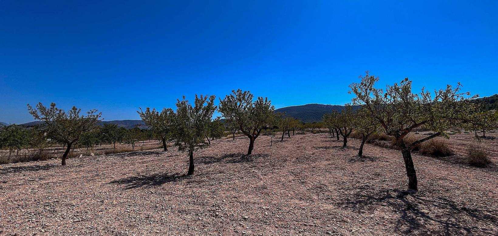 Revente - Country house - Monovar