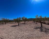 Revente - Country house - Monovar