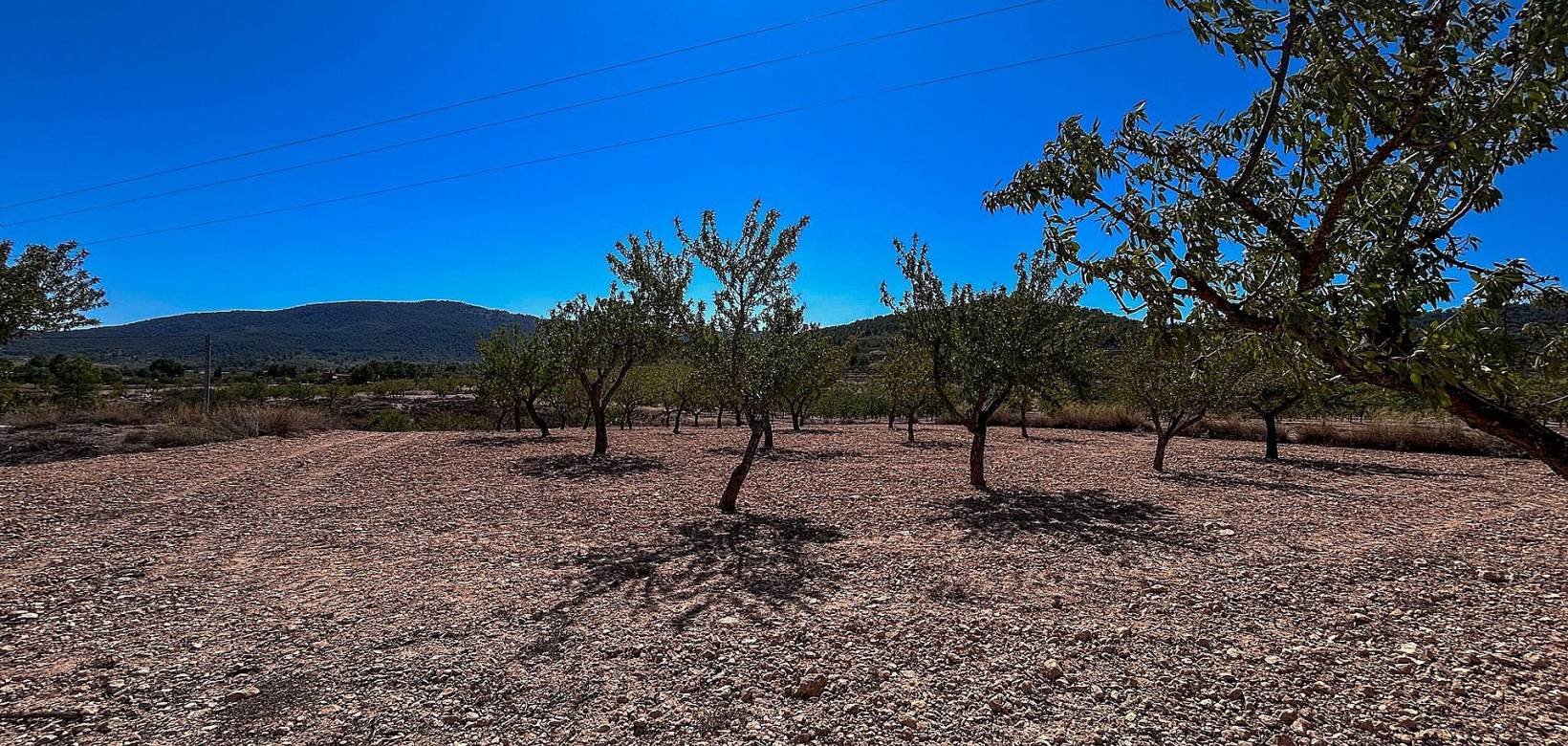 Revente - Country house - Monovar