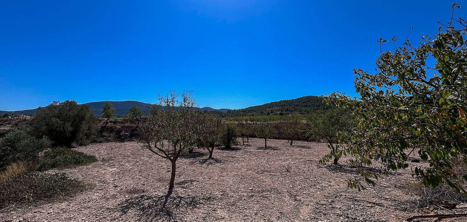 Revente - Country house - Monovar