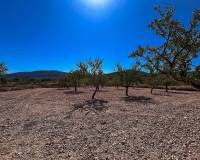 Revente - Country house - Monovar