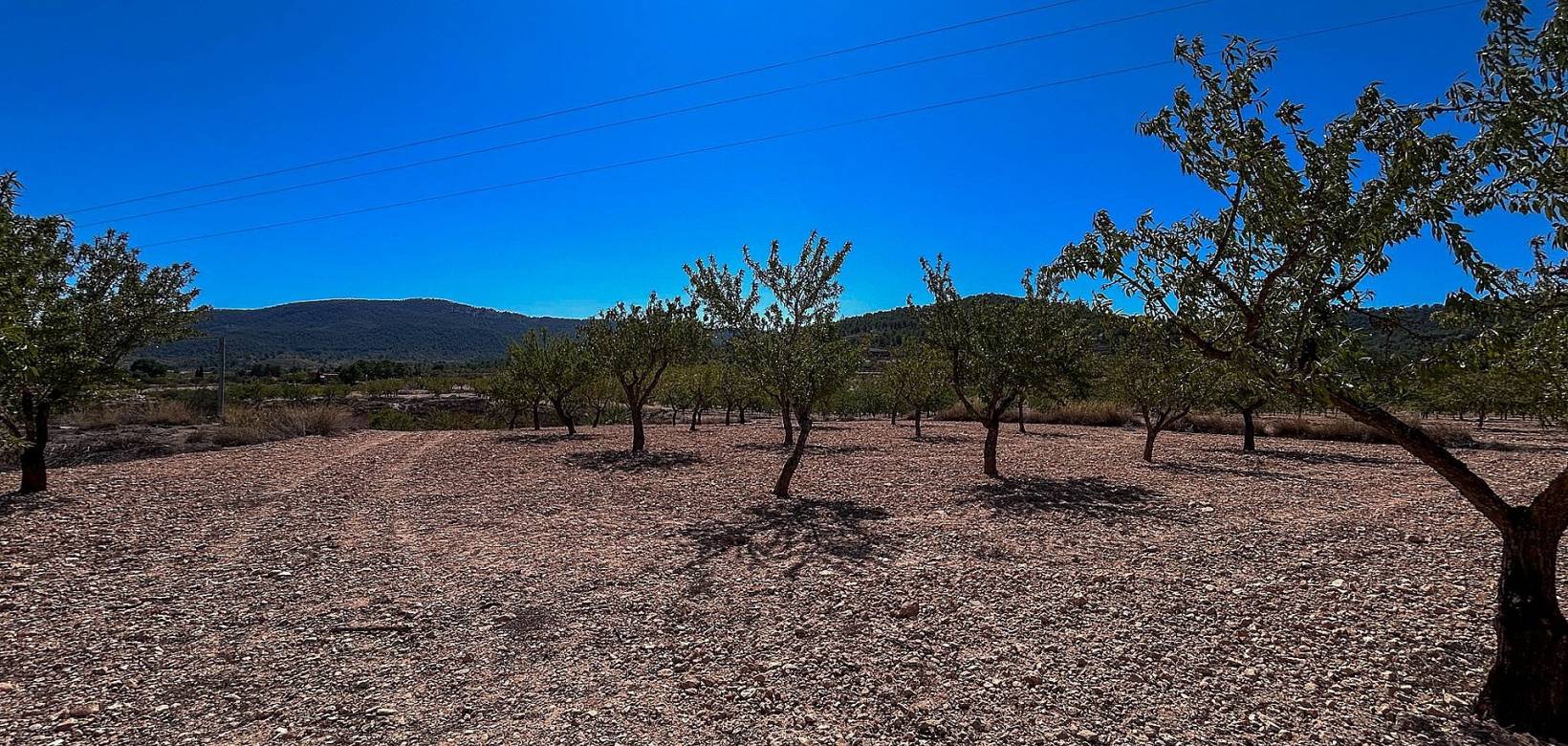 Revente - Country house - Monovar