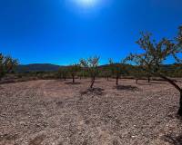 Revente - Country house - Monovar