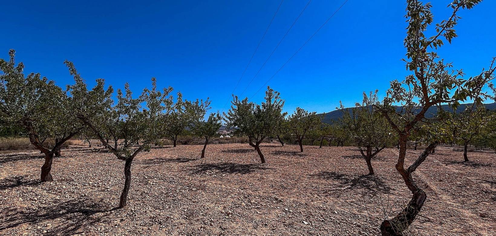 Revente - Country house - Monovar