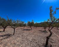 Revente - Country house - Monovar