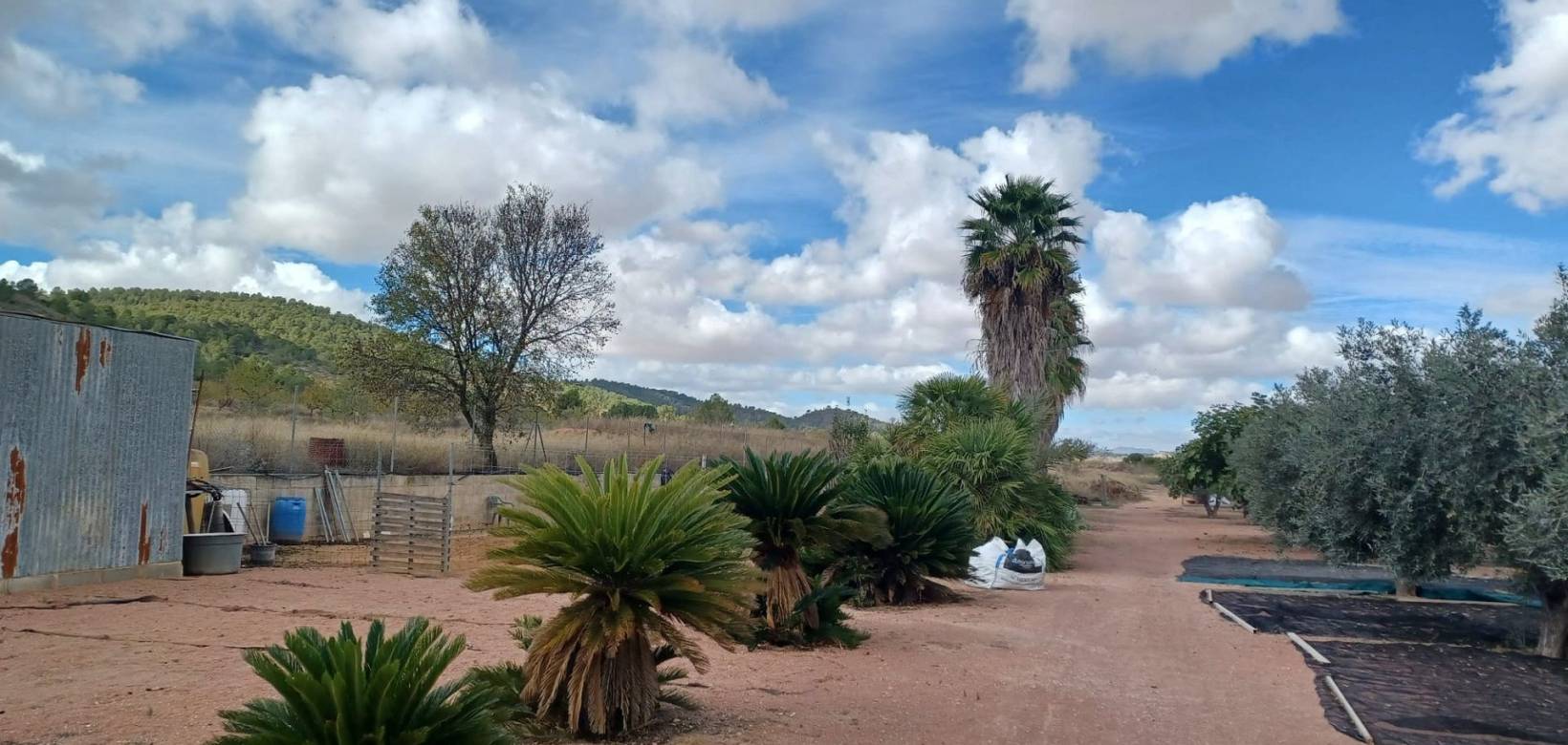 Revente - Country house - Monovar