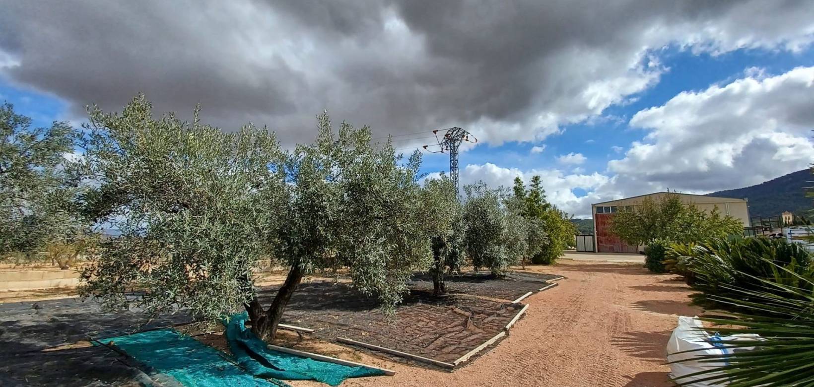 Revente - Country house - Monovar