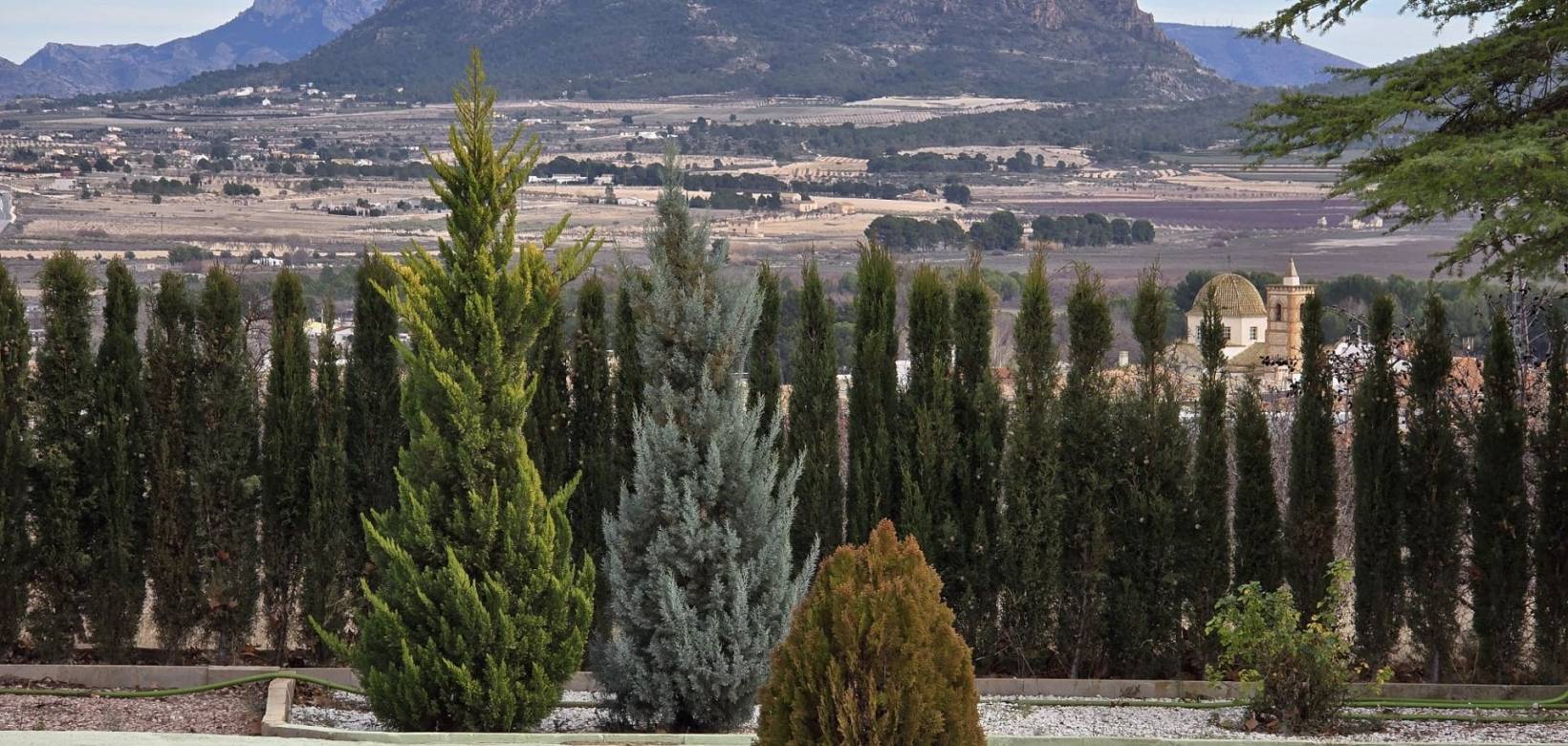 Revente - Country house - Salinas