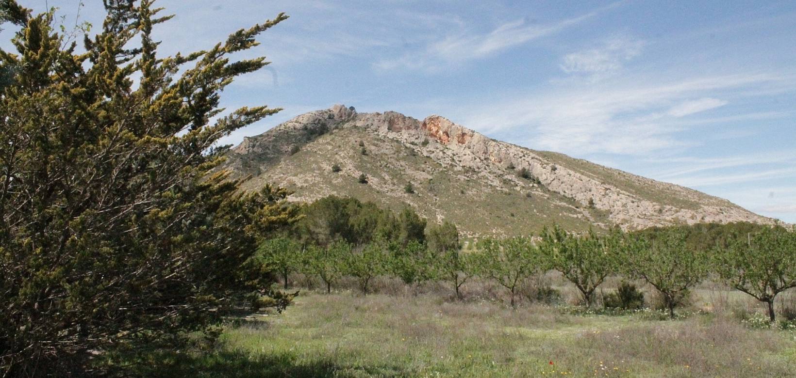 Revente - Country house - Villena