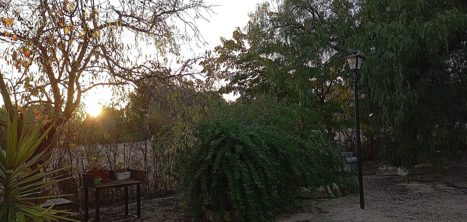 Revente - Country house - Yecla