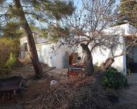 Revente - Country house - Yecla