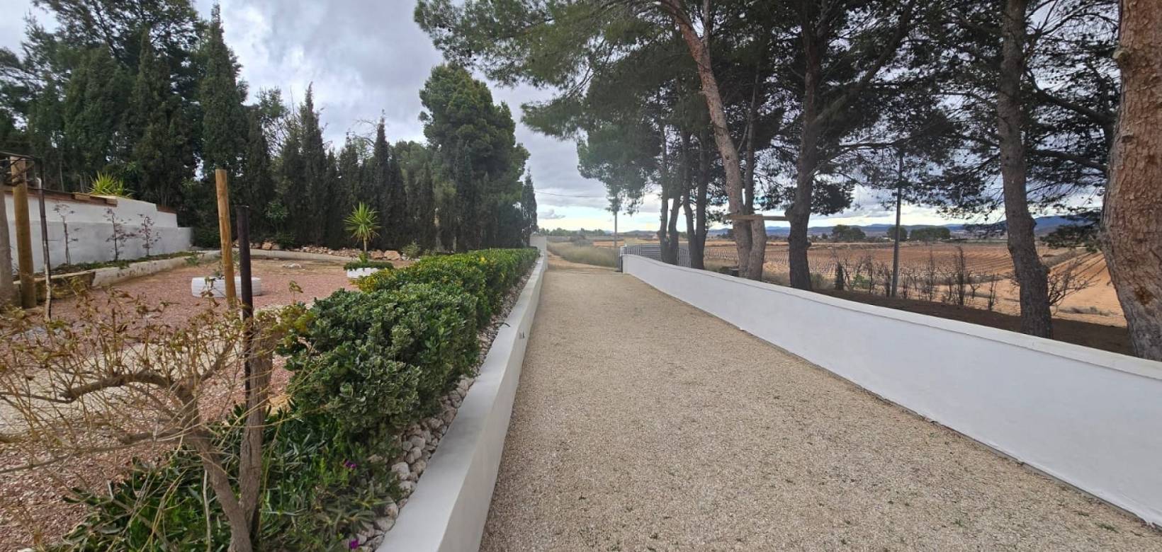 Revente - Country house - Yecla