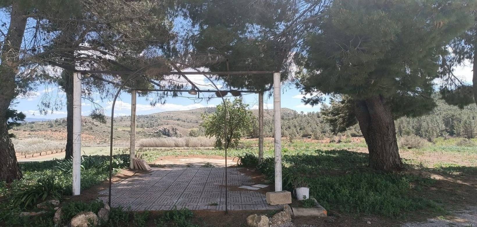 Revente - Country house - Yecla