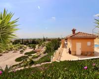 Revente - Country Property - Albatera