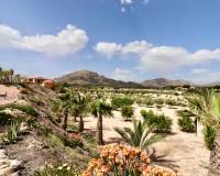 Revente - Country Property - Albatera