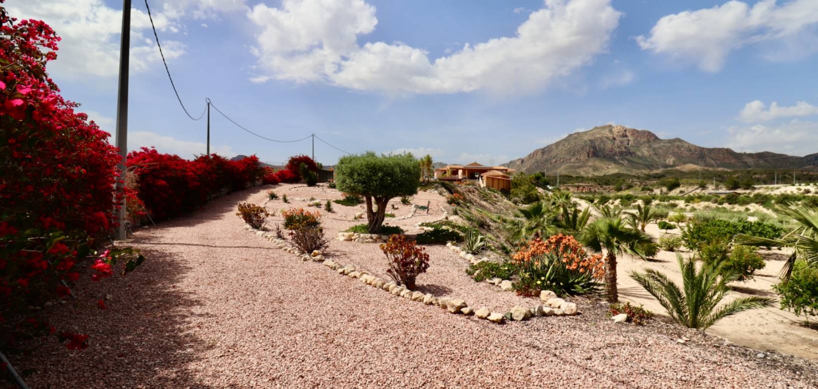 Revente - Country Property - Albatera
