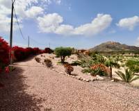 Revente - Country Property - Albatera