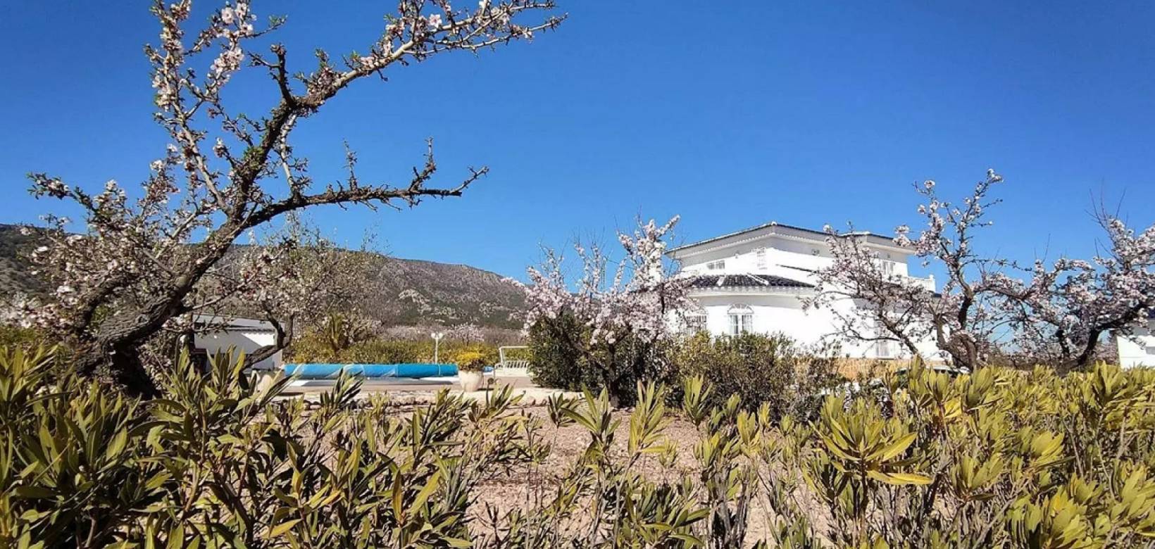 Revente - Detached villa - Pinoso  - Pinoso