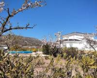 Revente - Detached villa - Pinoso  - Pinoso