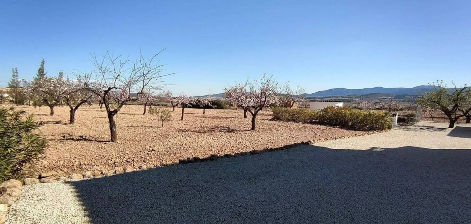 Revente - Detached villa - Pinoso  - Pinoso