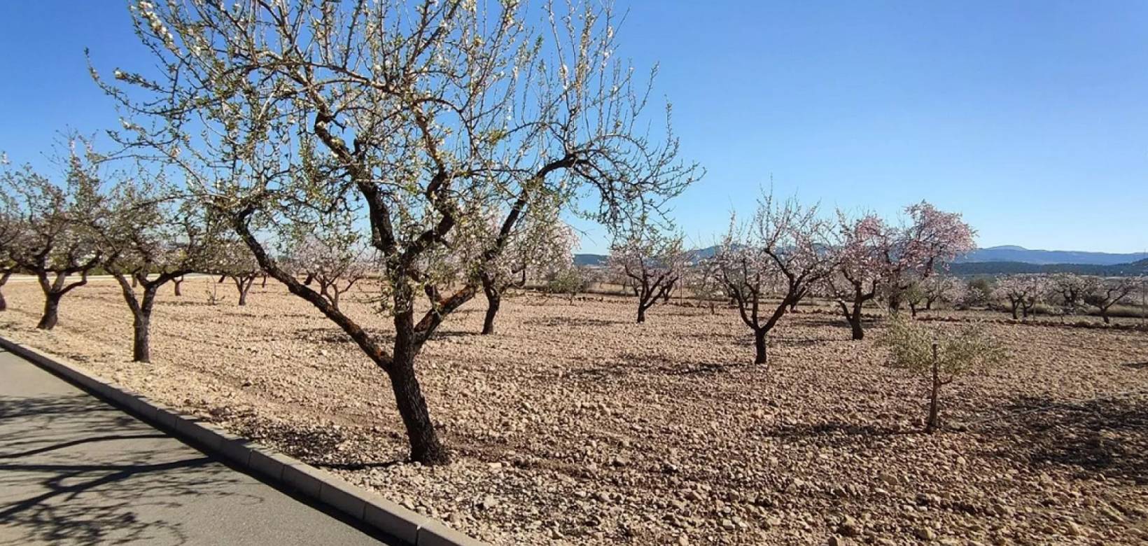 Revente - Detached villa - Pinoso  - Pinoso