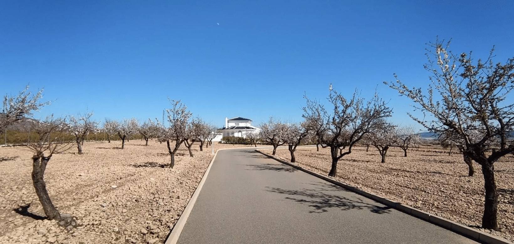 Revente - Detached villa - Pinoso  - Pinoso