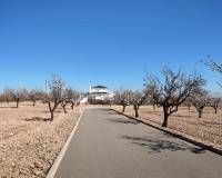 Revente - Detached villa - Pinoso  - Pinoso