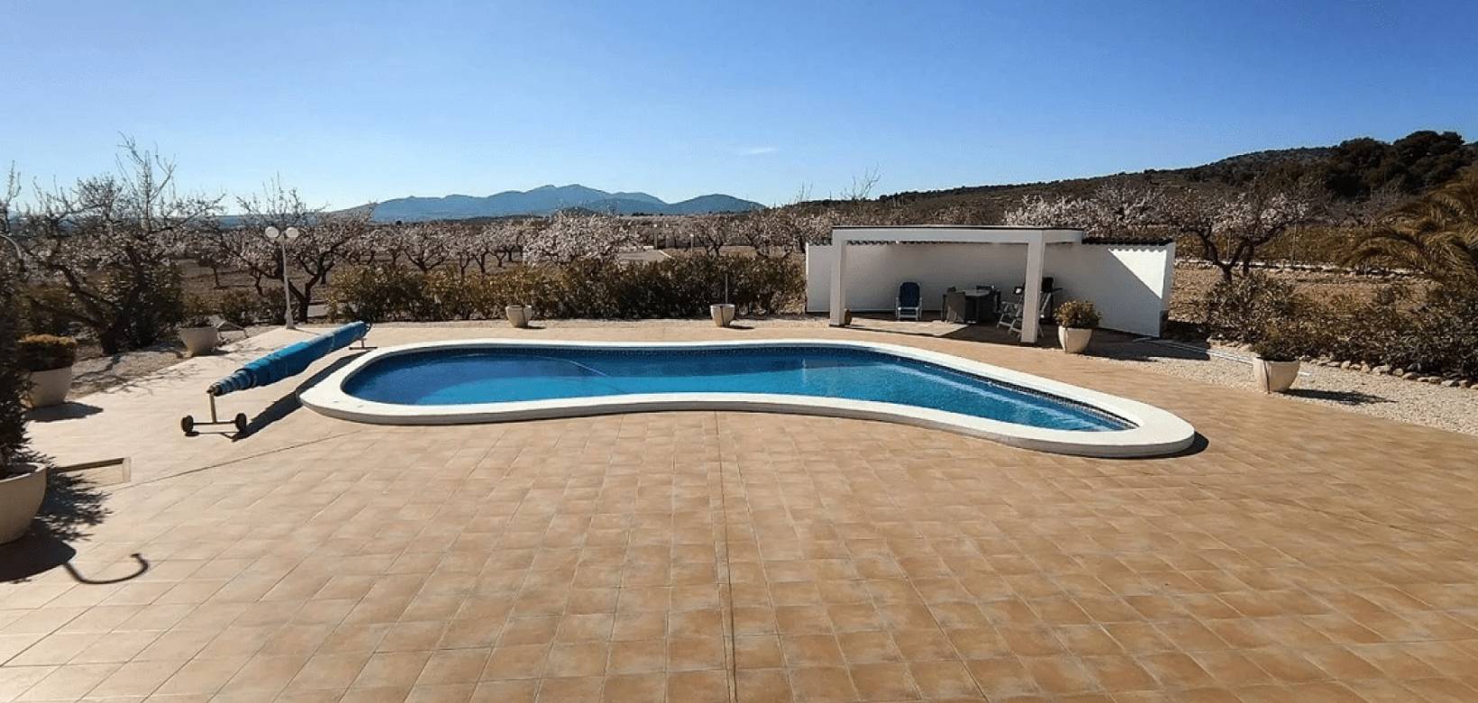 Revente - Detached villa - Pinoso  - Pinoso