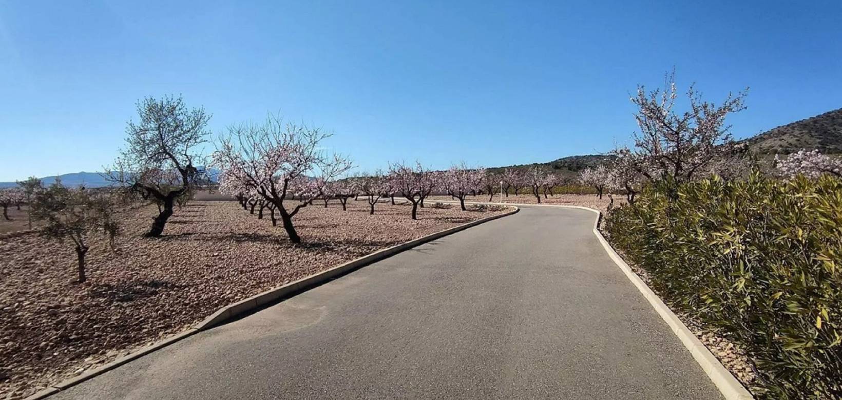 Revente - Detached villa - Pinoso  - Pinoso