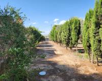 Revente - Detached villa - Villena