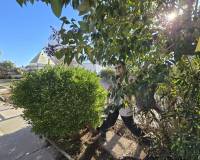 Revente - Detached villa - Villena