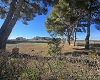 Revente - Detached villa - Villena