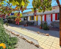 Revente - Finca - Catral