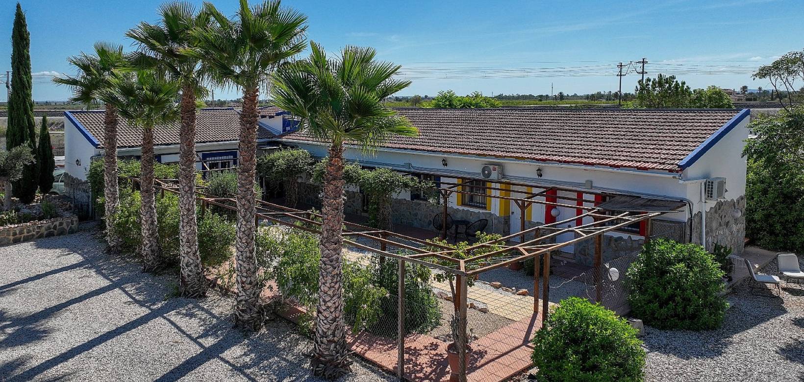 Revente - Finca - Catral