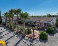 Revente - Finca - Catral