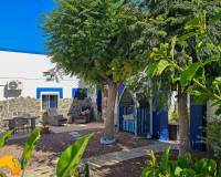 Revente - Finca - Catral